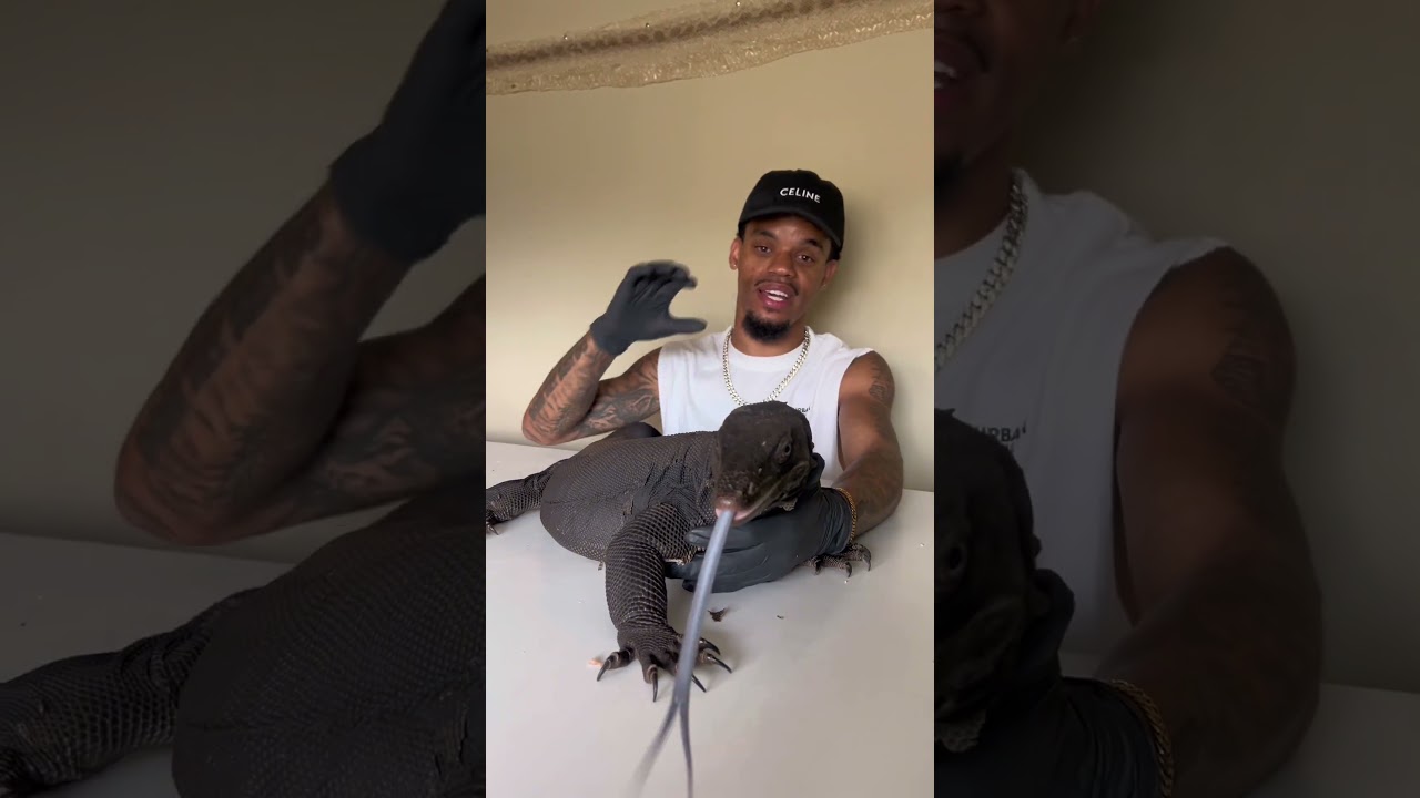 Папа растёт БЫСТРЕЕ, чем вы ожидаете! 🦎🤩 