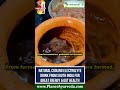South India Special Naturally Cooling Electrolyte Drink for Long-Lasting Energy & Perfect Gut Health