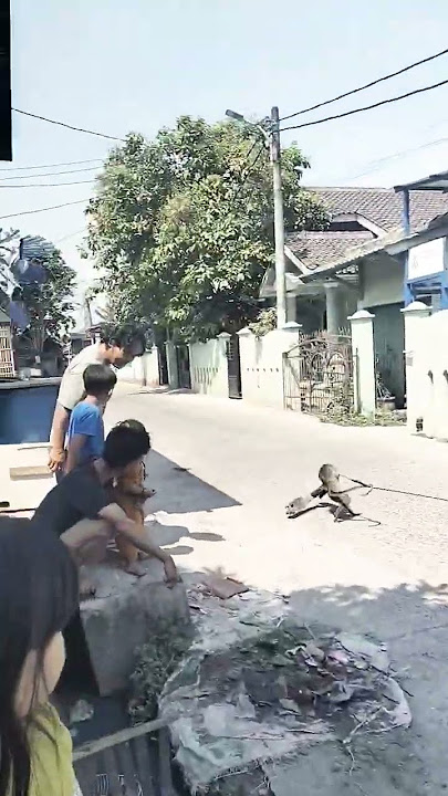 topeng monyet jatuh #shorts