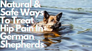 The Best German Shepherd Hip Pain Home Remedies: Natural & Safe Solutions
