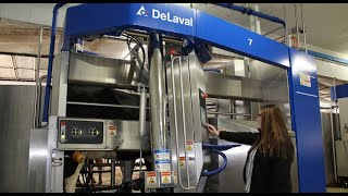 Робот дояр DeLaval VMS™ V300 - подготовка и доение коров