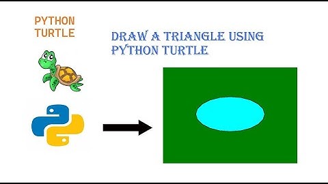 Oval Shape using Python Turtle