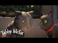 Will Tabby McTat Reunite with his Best Friend? 🥺 @GruffaloWorld : Tabby McTat