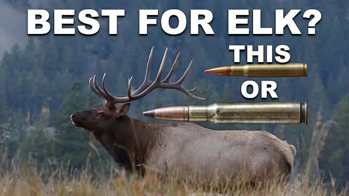 Best Elk Cartridges! Really?