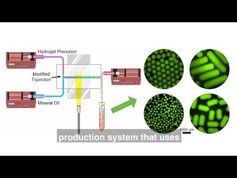 Video: Cardiac Tissue Engineering: Methoden Und Perspektiven Auf Dem Neuesten Stand Der Technik