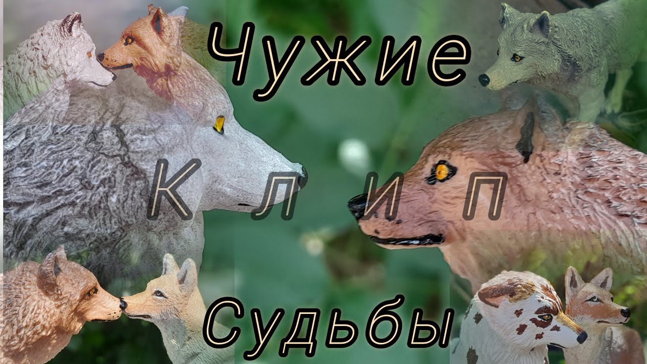 ЧУЖИЕ СУДЬБЫ//