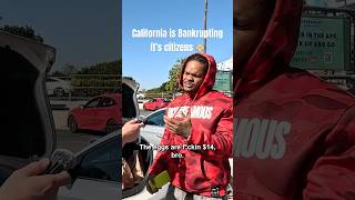 Nick Shirley alleges: California is becoming IMPOSSIBLE to live in 💵