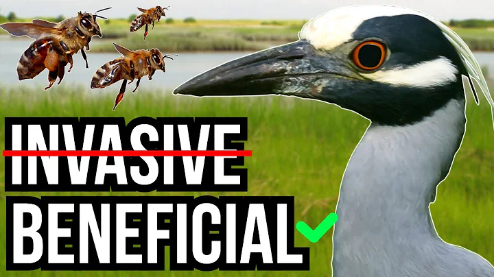 3 Introduced And Invasive Species That Benefit Non-Native Ecosystems