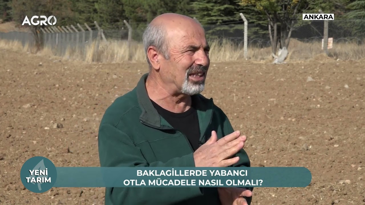 Nohut Tarımına Başlarken Bilinmesi Gereken Önemli Noktalar | Yeni TARIM