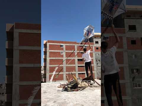 معاكو ديلر حلويات