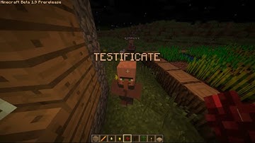 MineCraft 1.9 - NPC Villagers! New NPC mobs in minecraft 1.9 update!