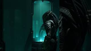 Predator's Lab Inspection: Alien Queen Growth.#predators #xenomorph #yautja #avp