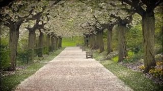 Espaces naturels en Hauts-de-France