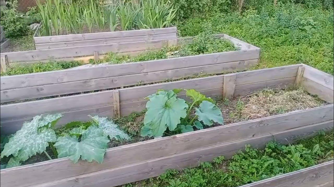 Металлические грядки. Грядка оцинкованная 3м на 1м высота 20. Вайлдберриз грядки оцинкованные. Грядки беларусь. Металлические грядки гринбокс.