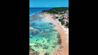 Copy 4963Fa8D 8748 47E4 Afc9 30E7F9502D77