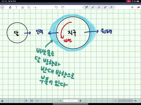 중2과학 조석현상 밀물 썰물 만조 간조 일어나는 원인