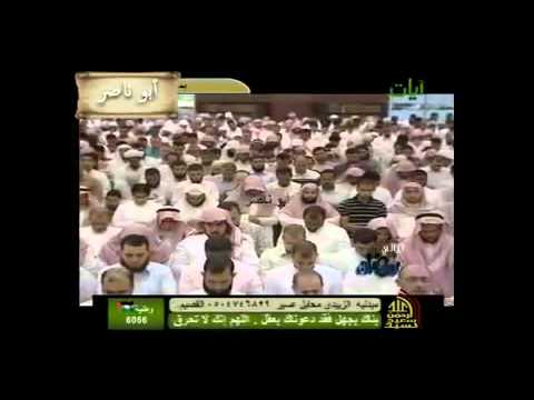 سورة الأحقاف ناصر القطامي 