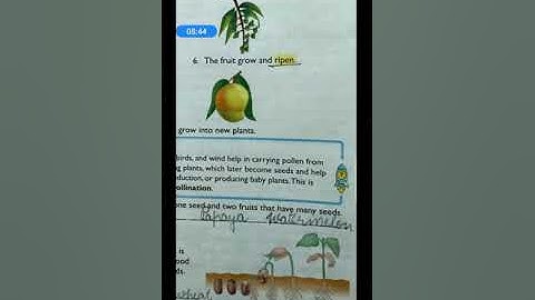 Class3,science,ch 2,part 7 by seetha