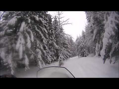 охота на снегоходе часть-2 Lynx 59 Yeti 600 ACE