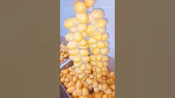 ياما نفسي اطولك يا بلح بس النخل عالي 