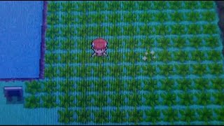 Live Mystery Poke Radar Shiny!! screenshot 1
