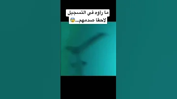 دليل على ان حورية البحر موجودة Shorts 