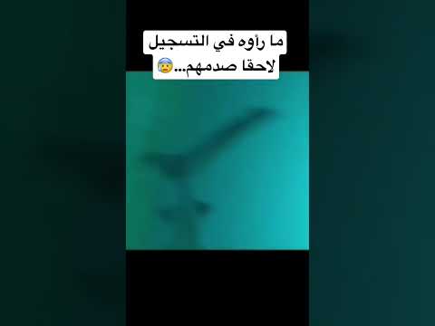 فيديو: 4 طرق لتطبيق الآيلاينر