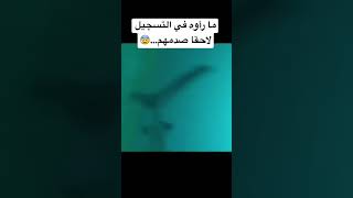 دليل على ان حورية البحر موجودة ?‍️ #shorts