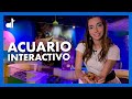 ACUARIO Inbursa 2020 / ACUARIO INTERACTIVO / Ale Toledano