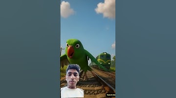 Parrot build a nest on the mango tree but the train comes on the track and destroysit♥️#ai #parrot