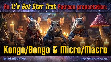 Kongo/Bongo and Micro/Macro - An It