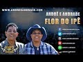 Flor do Ipê - André e Andrade