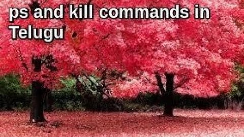 This video having uses of ps and kill commands