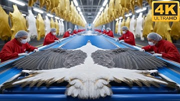 Inside Modern Eagle Leather