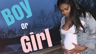 Gender Reveal \/\/ GRWM \/\/ Vlog #4 \/\/ Chai Beauty