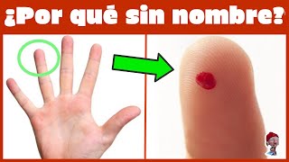 6 PREGUNTAS INFANTILES QUE LOS ADULTOS NO SABEMOS LAS RESPUESTAS / Mogol TV ES