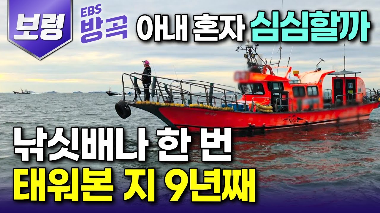 [충남 보령] 연고도 없는 바다에 친정엄마까지 귀어시켜 배 척척 모는 선장님 된 도시여자｜던지는 족족 갑오징어 올라오는 항금어장｜무창포｜