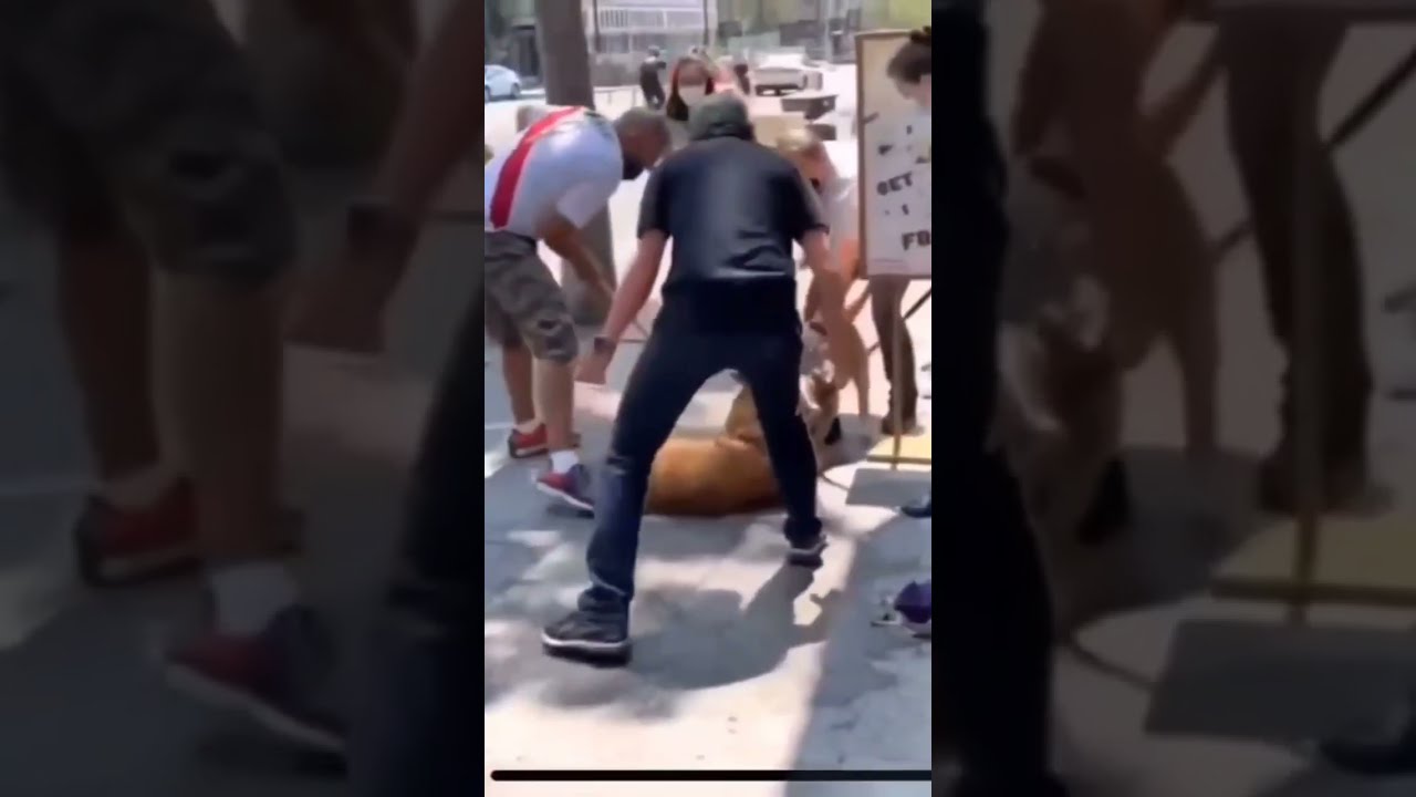 Stop Any Dog Attack Fast Smalldog