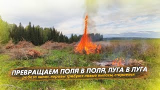 видео: Превращаем поля в поля, а луга в луга. Коровы требуют новые выпасы. Жизнь в деревне картинка: Превращаем поля в поля, а луга в луга. Коровы требуют новые выпасы. Жизнь в деревне