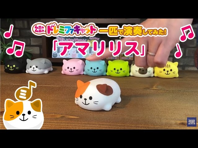 ドレミファキャット ミケネコでアマリリス - YouTube