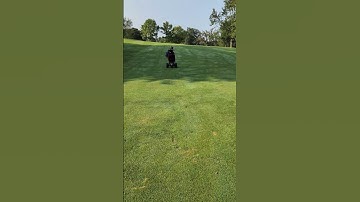 MGI Zip Navigator AT Demonstration