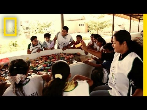 Environmentalist's Theme Park Doubles as Classroom | National Geographic