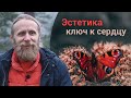 Эстетика — ключ к сердцу медитации