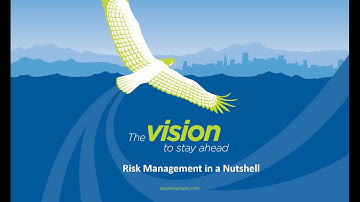 What is MSP Programme Risk Management?