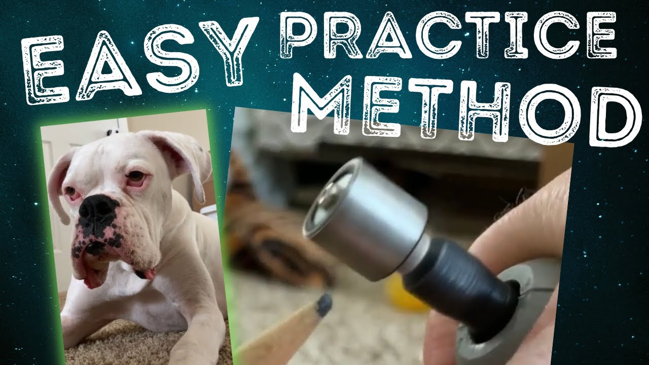 New Dremel PawControl Dog Nail Grinder Review and Paw Test 