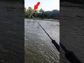 Dieser Fisch reißt mir fast die Rute aus der Hand! 🤯 #spinning #waller #bigfish #liveattack