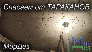 Обработка от тараканов в квартире. МирДез (2022г) 15
