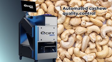 Automated quality control with Qcify 360 - Cashews