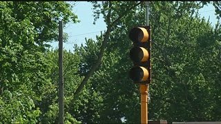 Bird's nest caused power outage for 5,000 Northampton customers