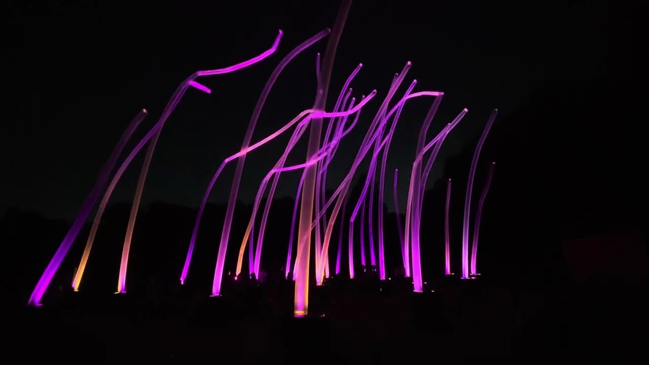 Magical teamLab Osaka in 4K HDR | Digital Art Meets Nature at Night